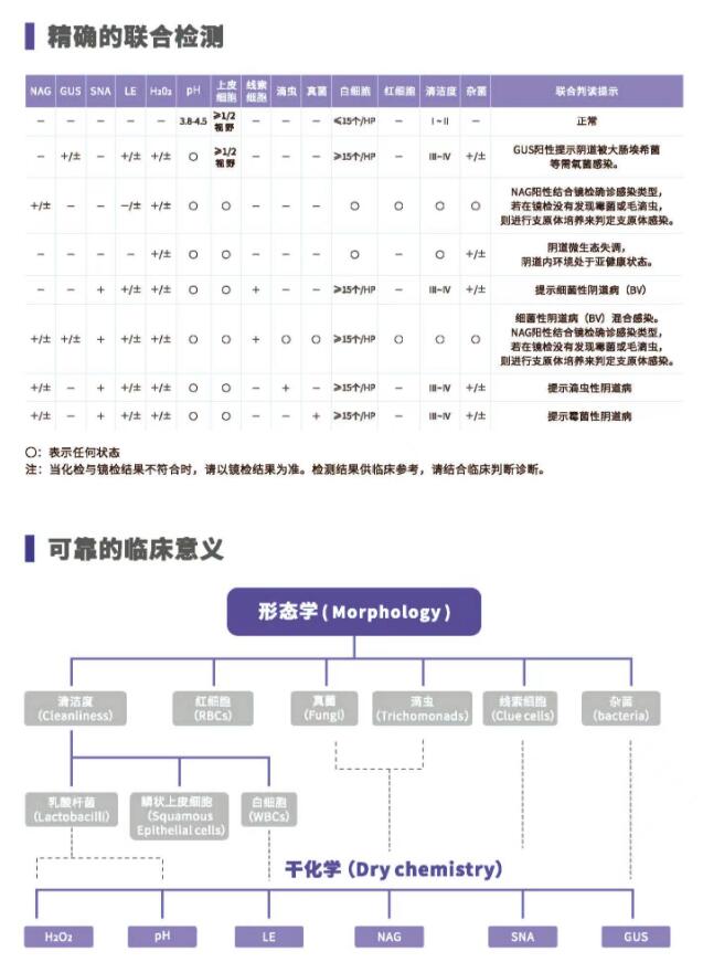 阴道分泌物羞羞答答在线视频V800精确的联合检测